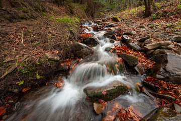 A wild mountains stream flowing down the hill among rocks and red fallen leaves in the autumn © Pawel Sidlo
