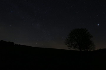 Sternenhimmel am frühen Morgen mit Silhouette eines Baums