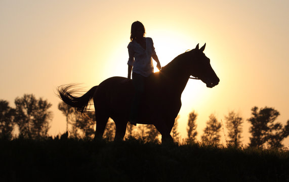 Beautiful cowgirl bareback lead her horse in woods glade at sunset