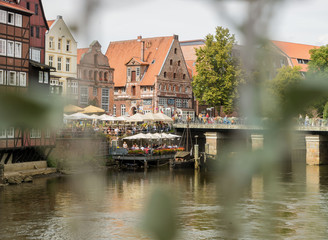 Fototapeta premium Lüneburger Stint 