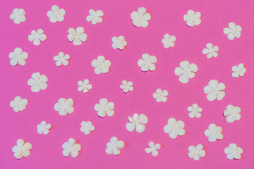 Beautiful floral pattern made of fresh white snowball flowers on pink background. Spring or summer natural backdrop, flat lay, top view