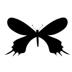 black silhouette of a butterfly, on a white background
