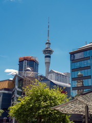 Auckland New Zealand 