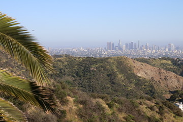 Fototapeta na wymiar Skyline von Los Angeles von den Hollywood Hills aus gesehen bei Tag