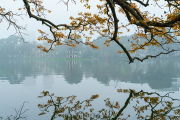 Branch of yellow leaves with Turtle Tower (Rua Tower) on background in spring in Hanoi, Vietnam