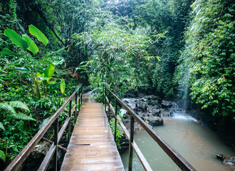 Wooden bridge leading over a river in a tropical rainforest