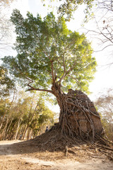 コー・ケー遺跡群