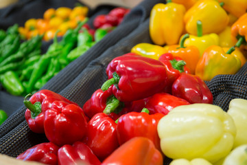 野菜　パプリカ