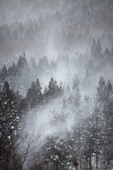 秋田県　乳頭温泉の森