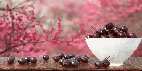 Cherry with sakura romantic background