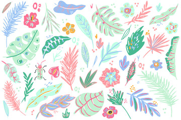 Set of abstract doodle hand draw tropical jungle leaves. Vector isolated tropical  elements. Tropical flat design with particle texture. Jungle leavs and flowers elements illustration. Clipart