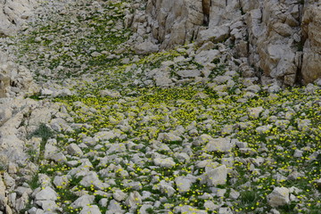 Aladaglar National Park Nigde, Turkey.