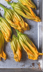 Fresh zucchini flowers (Fiori di zucca) with  drops of water, close-up, selective focus. Interesting South Italian Cuisine Ingredients, close-up