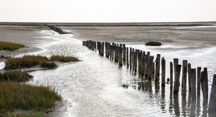 Wadden sea panorama at low tide on the North Sea with salt marsh and breakwater and tidal creeks