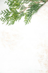 Light textured background with a green twig