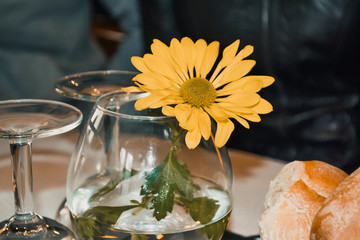 yellow flower in a glass with water on the table