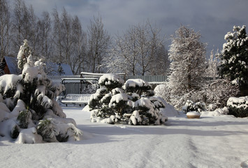Dawn in the home garden.Selective focus of Snowflake on tree during winter, shallow depth of field. White snow on a empty winter rural road.Spring in the Moscow region. 2020 March 15.