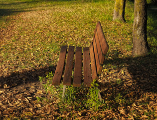 Bench and autumn leaves