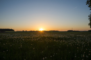 sunset in summer