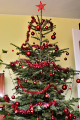 Christmas Tree with Gifts and Decorations