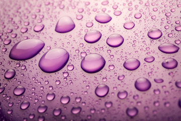 Water drops on purple background