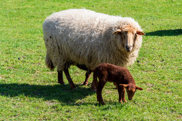 Heute ist Frühlingsanfang, Impressionen dieser herrlichen Jahreszeit
