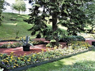 garden with flowers, Peterhof, Russia