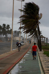 arrival of the rainy season in bahia