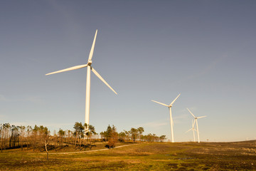 Wind farm with four towers