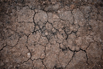 dry cracked earth