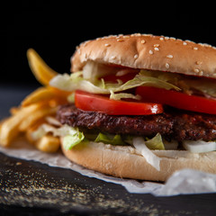 Tasty burger with tomatoes and lettuce