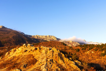 Obraz premium góry i las oświetlone przez zachód słońca