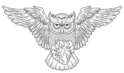 Wild animal owl with heart and open wings