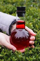 A biologist woman holds a round flask in her hands with a red liquid substance, a growth...