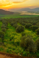 Sunset view of the Netofa Valley