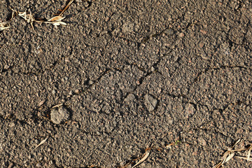 close up of concrete asphalt cracks on the road. Old worn and cracked asphalt with cracks