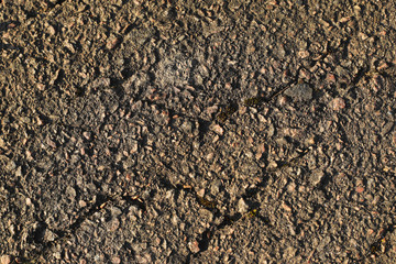 close up of concrete asphalt cracks on the road. Old worn and cracked asphalt with cracks