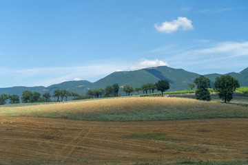 Rural landscape near Fabriano, Marches
