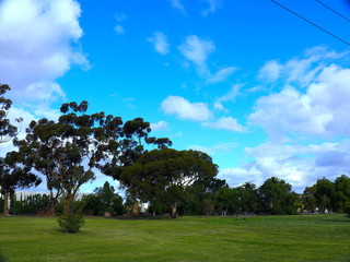 Park in Broadmeadows Melbourne Victoria surrounded by green lush trees rivers and lakes