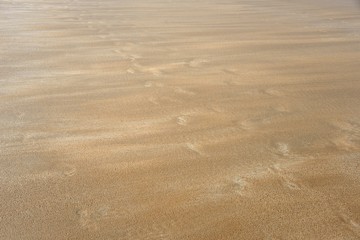 Huellas en la arena borradas por el mar