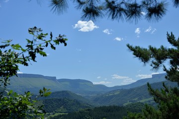 Paisaje valle verde con sierra al fondo visto entre los árboles