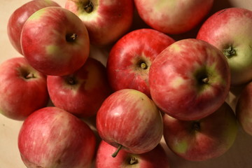 red apples on a white background
