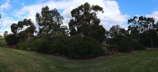 Fototapeta na wymiar Park in Broadmeadows Melbourne Victoria surrounded by green lush trees rivers and lakes