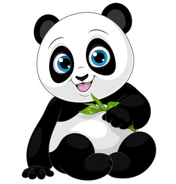 Funny little panda