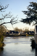 Precioso lago congelado lleno de patos en Broek in Waterland