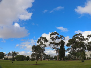 Park in Broadmeadows Melbourne Victoria surrounded by green lush trees rivers and lakes