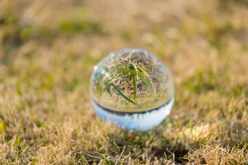 公園の芝生にある透明な水晶ガラスボール