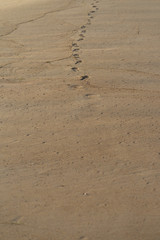 Footstep prints of a woman left on a beautiful sandy beach in Portugal