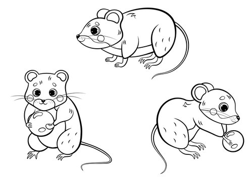 Cute cartoon forest vole or mouse vector coloring page outline set. Vole in different postures. Mouse holding berry. Forest animals for kids. Isolated on white background