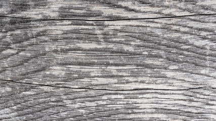 old wood texture background